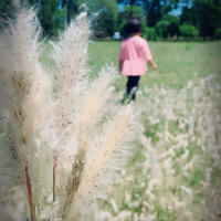 木小贝