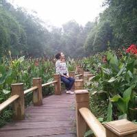 tangmenshangpin2